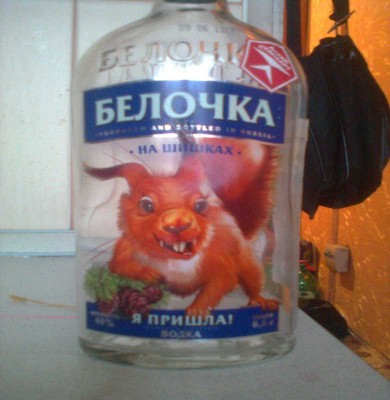 белка.jpg