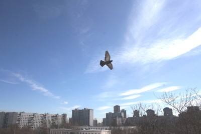 IMG_7844.JPG