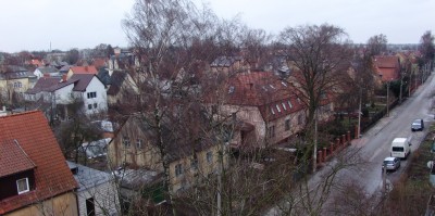 DSC00249.jpg