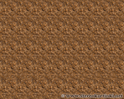 Stereogramma-Test-7.gif