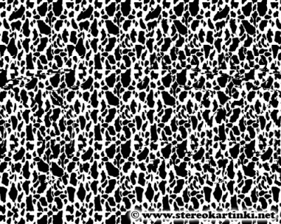 Stereogramma-Test-2.jpg