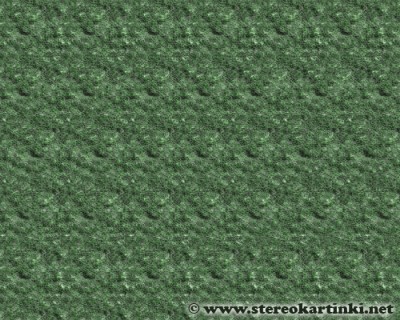 Stereogramma-Test-1.jpg