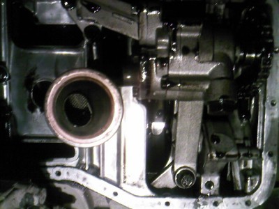 SP_A0155.jpg