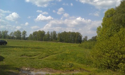IMAG0173.jpg