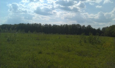 IMAG0183.jpg