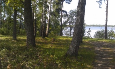 IMAG0186.jpg
