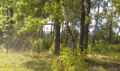 IMAG0187.jpg