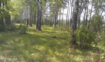 IMAG0189.jpg