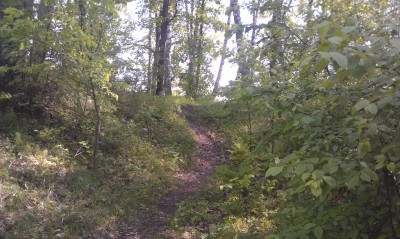 IMAG0199.jpg