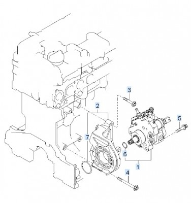 hpp-cat.jpg