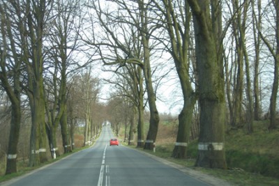 kaliningrad-1.jpg