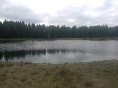WP_000168.jpg