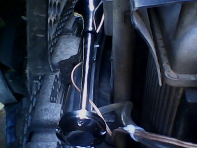 IMG0175B.jpg