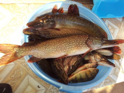 20121018_163233 копия.jpg