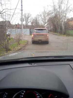 113.jpg