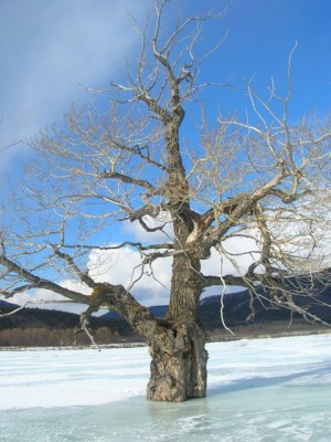 DSCN0825_.jpg
