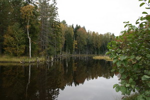 IMG_9827.jpg