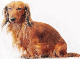 Luc (с).jpg