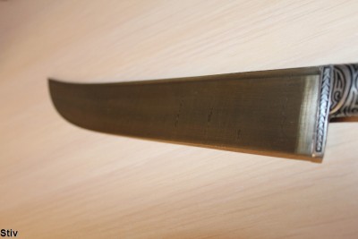 Stiv_2.jpg