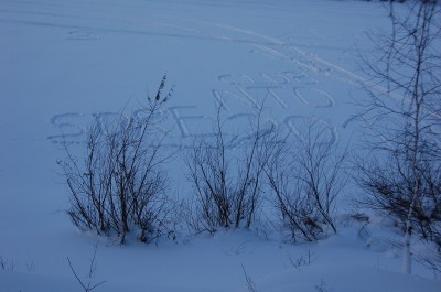 DSC_0227.jpg