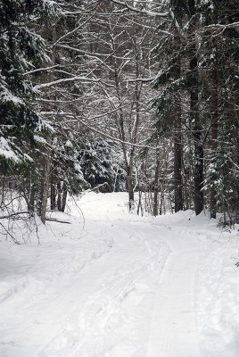 DSC_6576.jpg