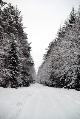 DSC_6593.jpg