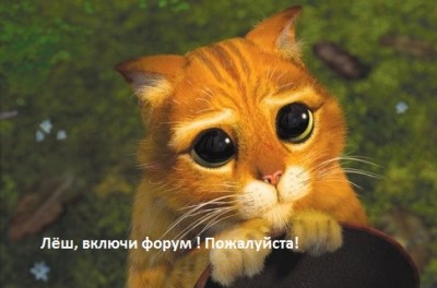 v_sapogah_kot - копия.jpg