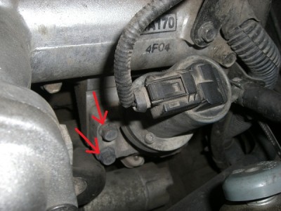 CIMG5225.JPG