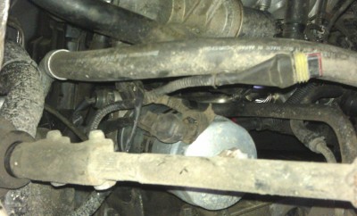 IMAG0415.jpg