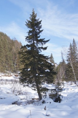 DSC00118_.jpg