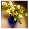 sflowersea14.gif