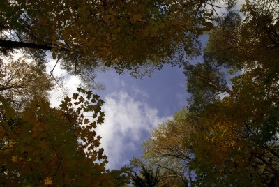 DSC_0449_.jpg