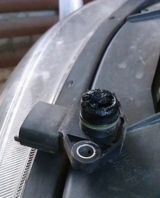 IMAG0516.jpg