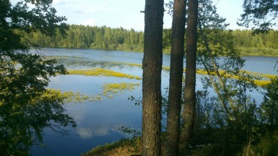 IMG-20130614-WA0003.jpg
