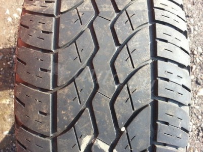 07ddc38f.jpg