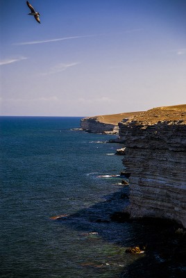 DSC_7090_.jpg