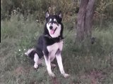20130727_213652.jpg