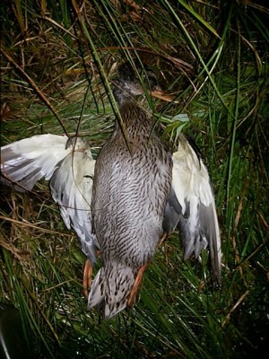 20130817_213345.jpg