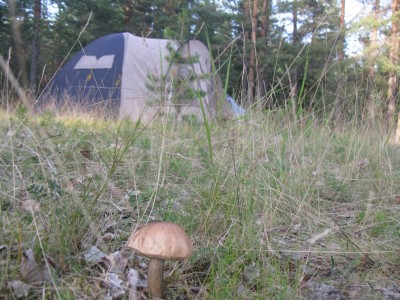 IMG_3345.JPG