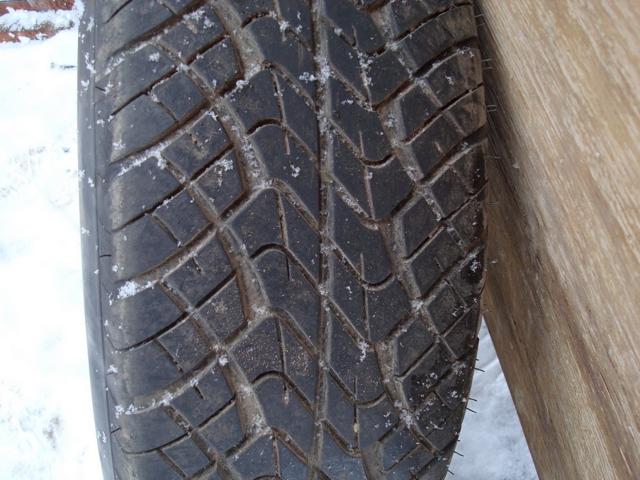 DSC00322_resize_resize.JPG