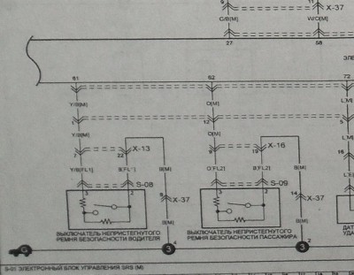 SDC12100_cr-2.jpg