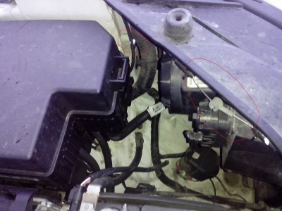 IMG_20131020_172104.jpg