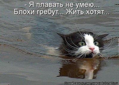 getImage.jpg