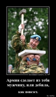 1356189871_Armiya-sdelaet-iz-te_bestdemotivators.ru.jpg