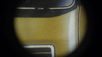 1390578.JPG