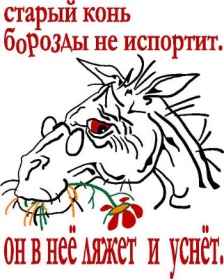 121.jpg