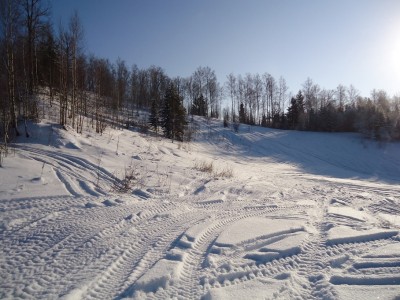 DSC02798.JPG