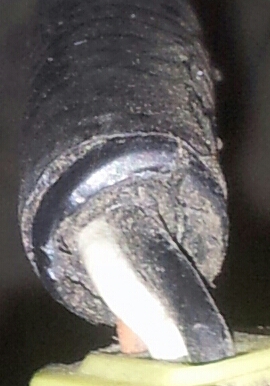 20140221_152533-1-1.jpg