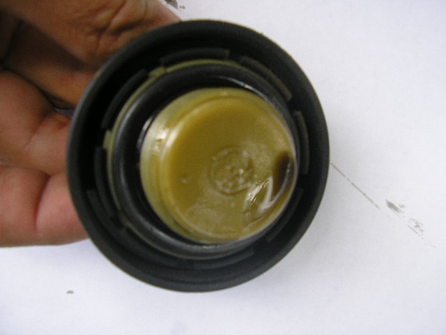 P5200005.JPG