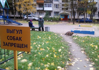 20121019_164220.jpg